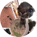 Profilbild von „Luke Selden (.“