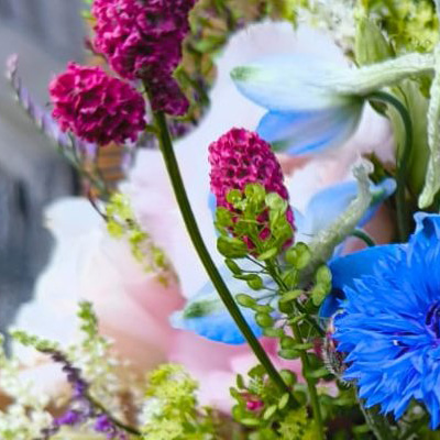 Nahaufnahme eines bunten Blumenstraußes mit Kornblumen, rosafarbenen Kugelkopfblumen und zarten Blüten in Weiß und Grün.